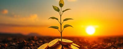 Small Steps, Big Gains: The Beginner's Investment Roadmap